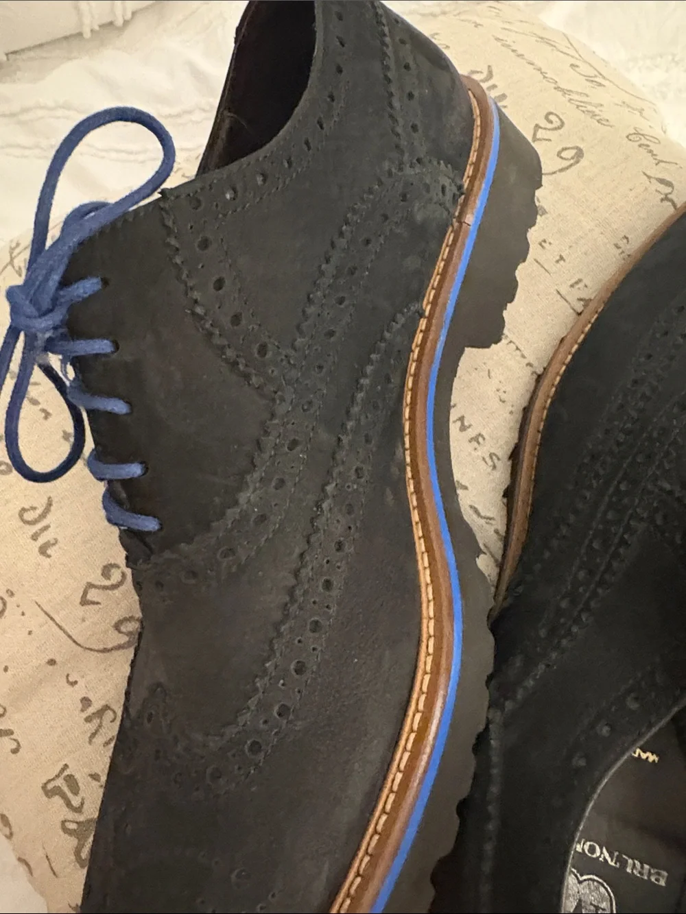 Bruno Magli Black Velvety Suede Wingtip Derbys with Blue Laces - 10.5 Men’s